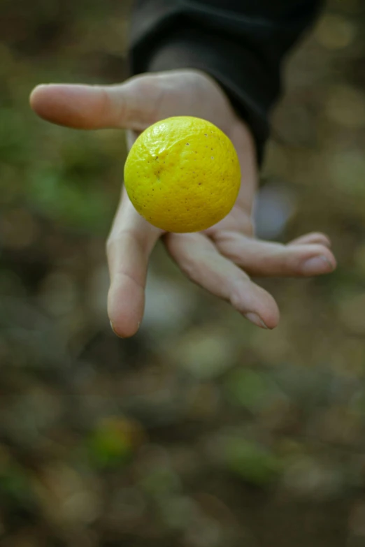 a person holds an orange on the tip of his finger