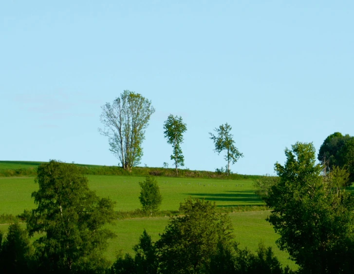 an airplane in the sky with trees and grass