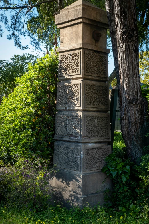 the large pillar is covered by the green plants