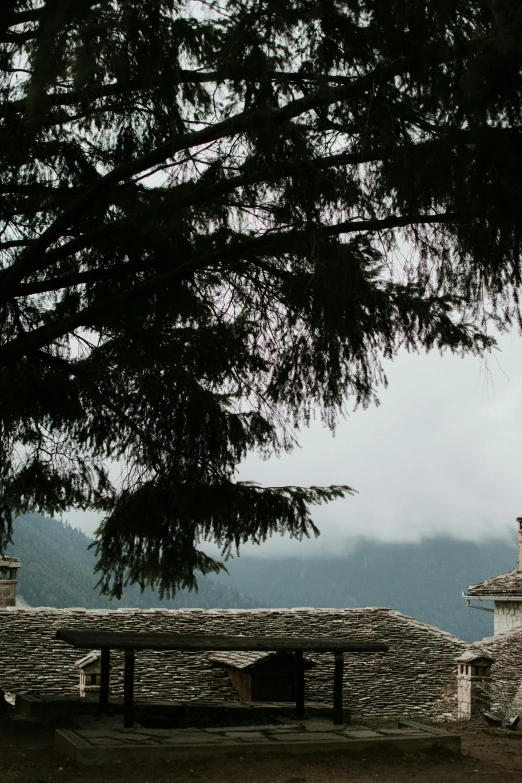 a clock tower towering above a tree with mountains in the background