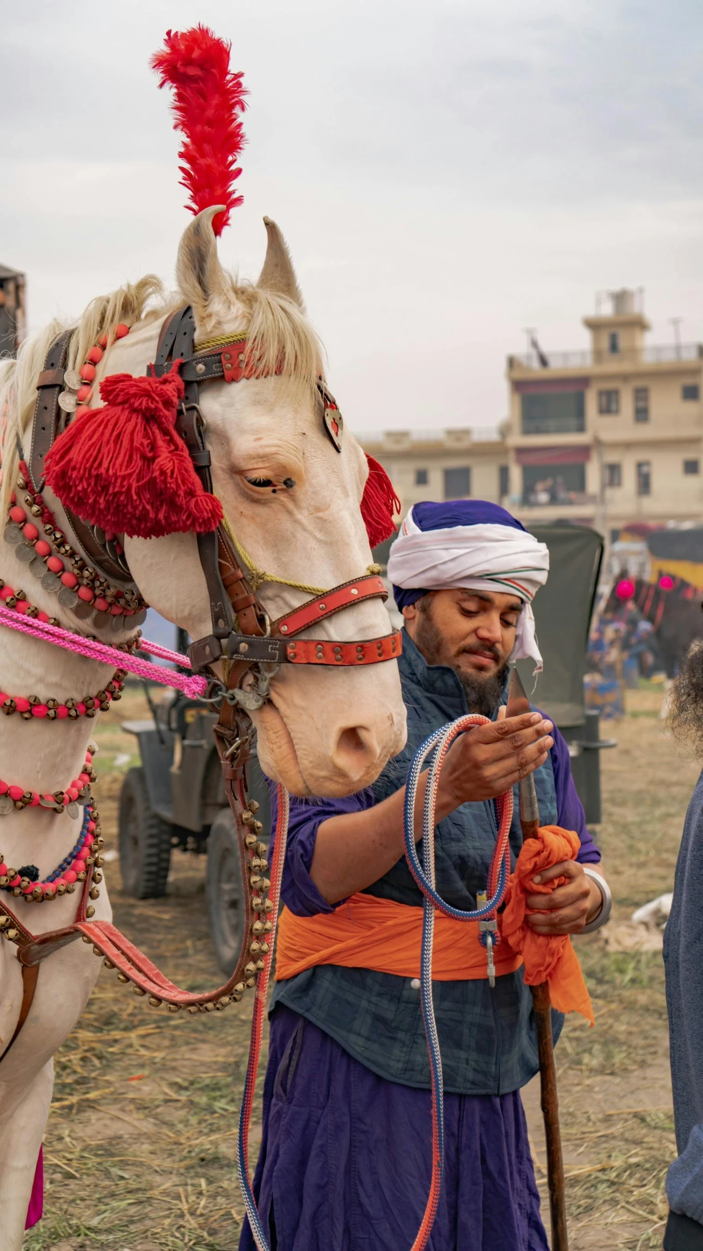 the man stands next to a horse and looks at it