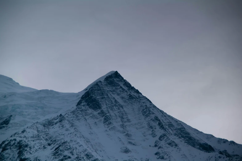 an alpine slope has snow on it and a tree in the foreground