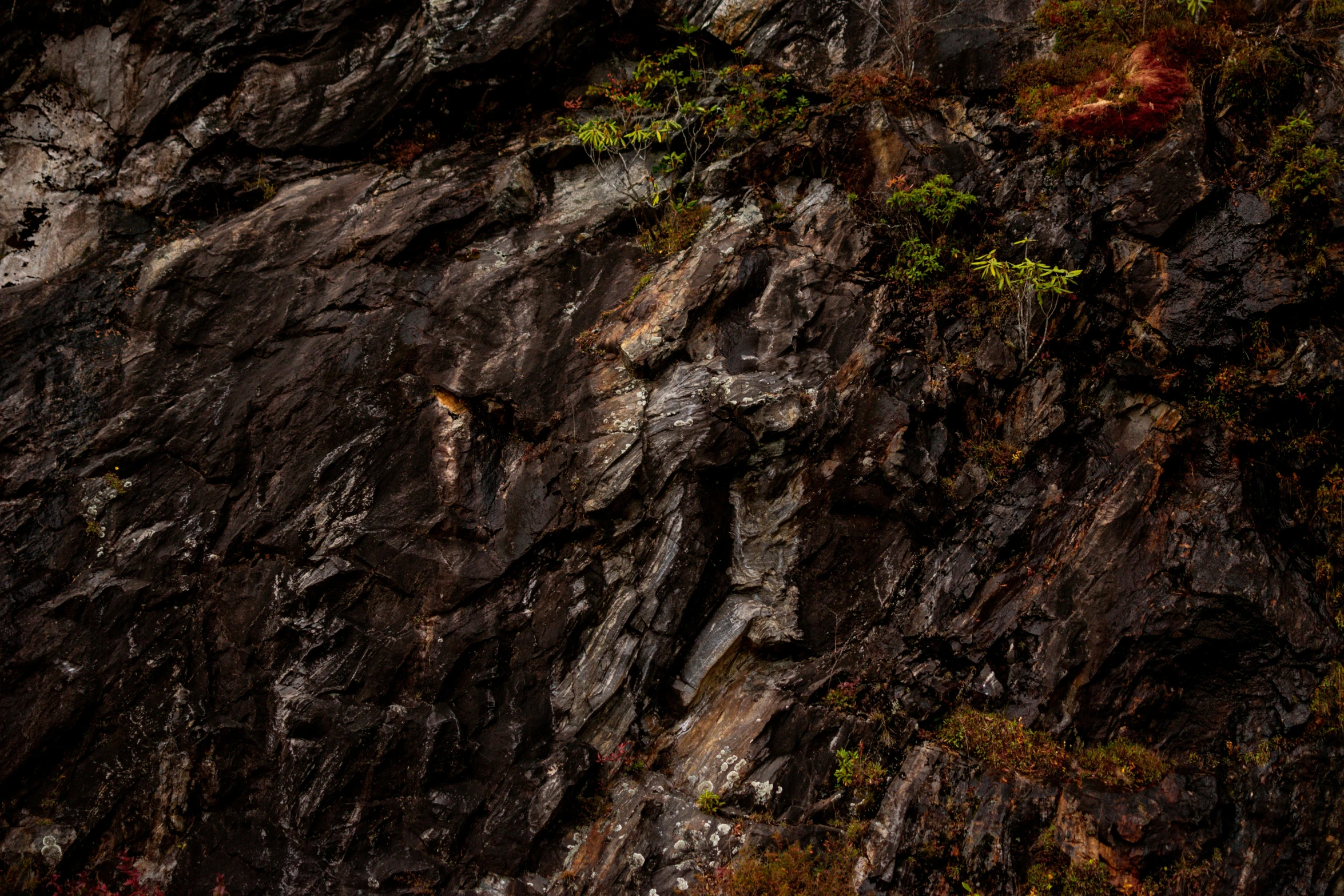 a bird on top of a large cliff near a body of water