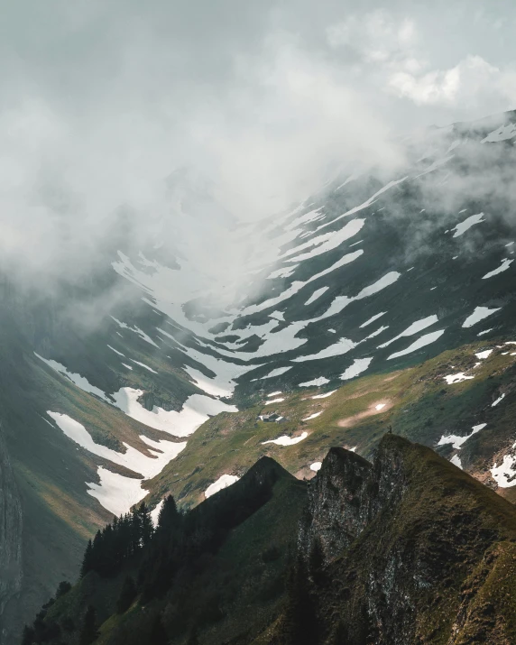 an area with snow capped mountains and trees