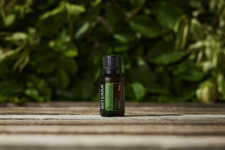 a closeup of a small bottle of essential oils