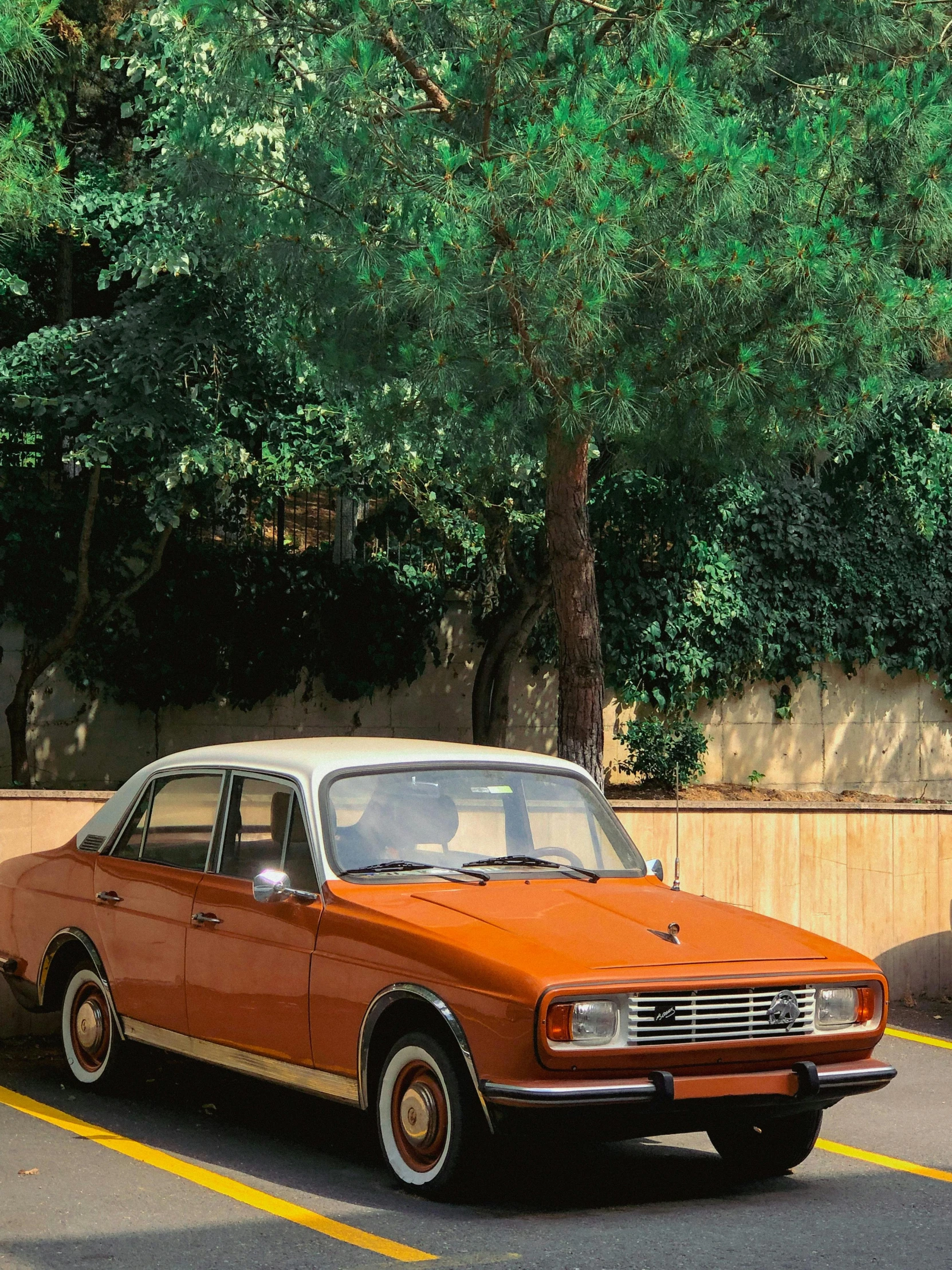 an orange car parked next to a tree