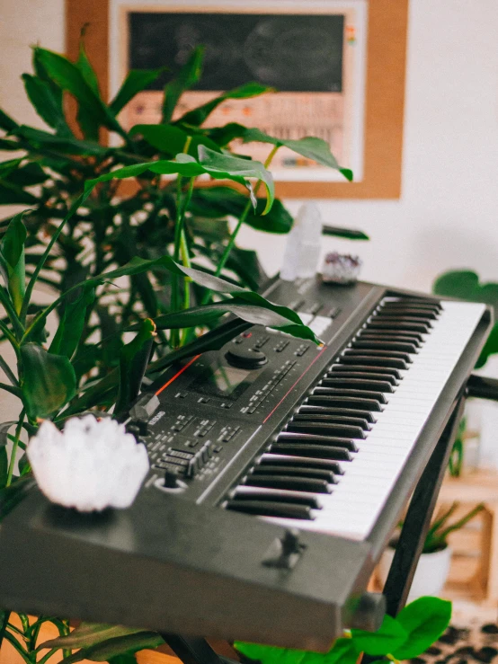 a keyboard with some plants next to it
