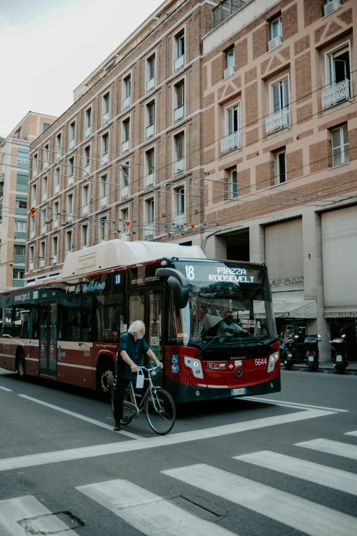 a cyclist rides next to a bus that is stopped at a crosswalk