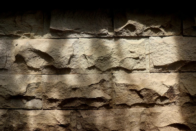 a brick wall covered in cement with an animal's paw prints