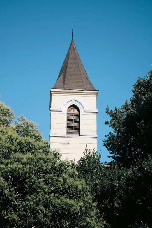 the tower on the building is near many trees