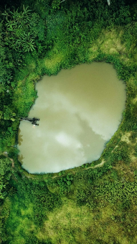 a couple of birds sitting at the edge of a small pond