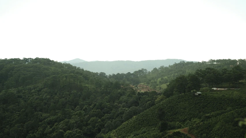 a mountain is seen with trees and grass in the foreground