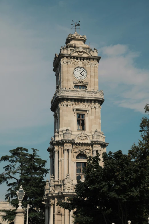 a clock tower rises above the trees near the buildings