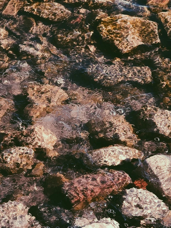 the rocks are all made of different color stones