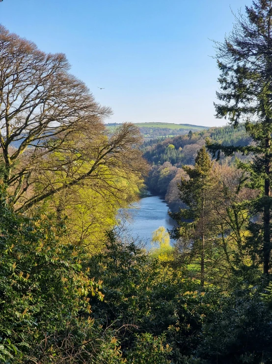 an over head view of trees, water and sky