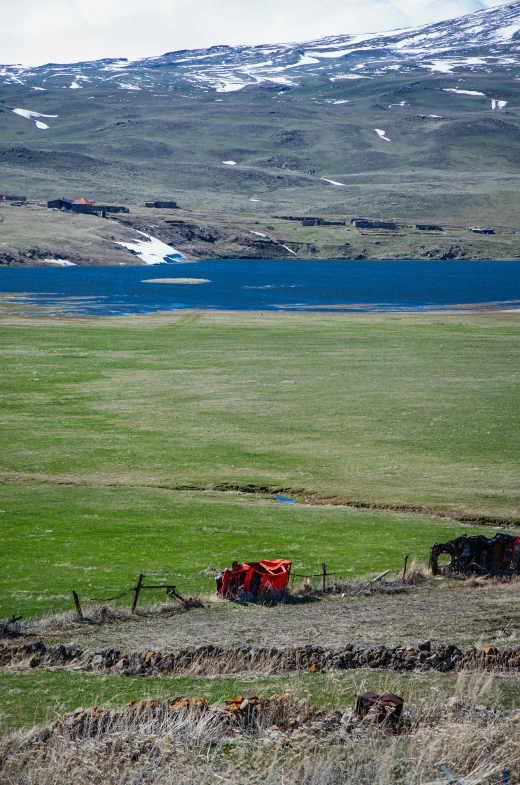 a small herd of horses and a buggy are near water