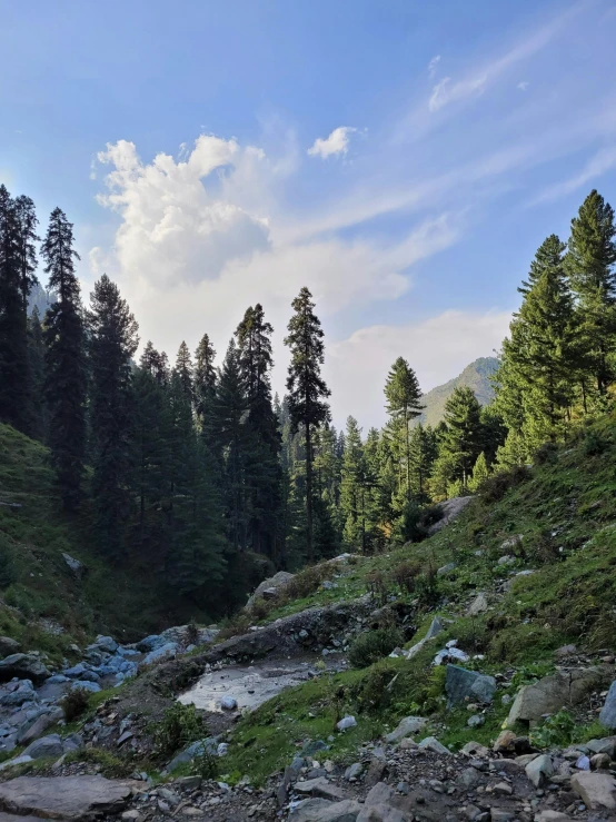 a river running between rocks and trees