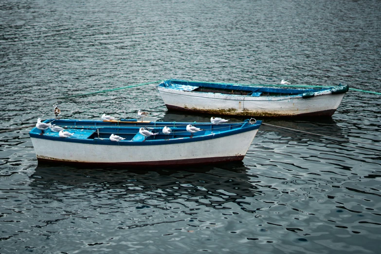 two small boats are on the water at high speeds