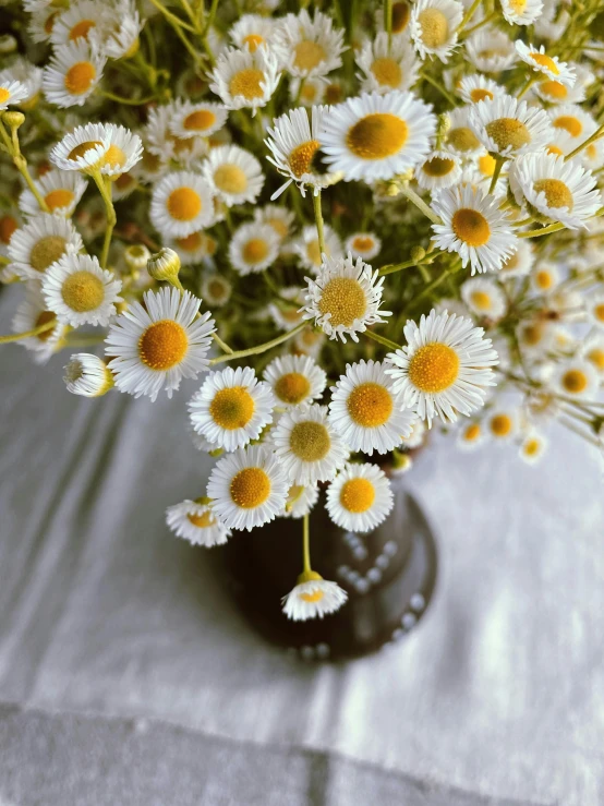 some small daisies are sitting in a black vase