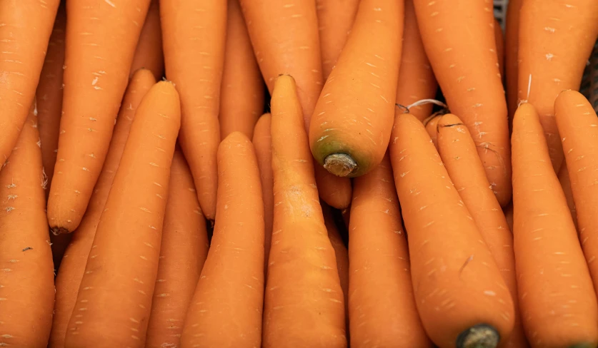 many large orange carrots stacked together in rows