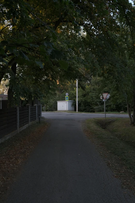 the back of a building and sidewalk and trees