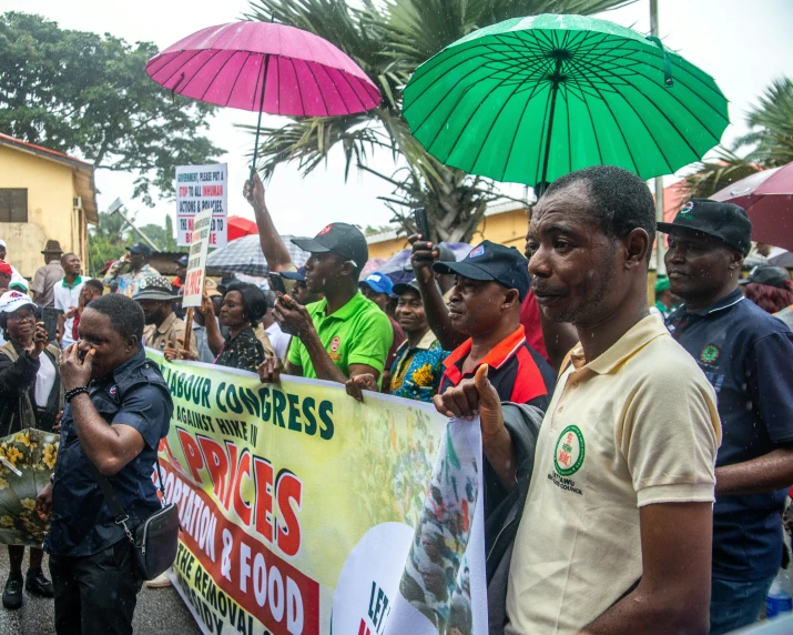 a crowd of people are holding open umbrellas