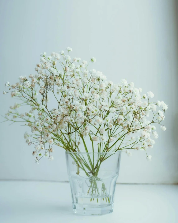 a bunch of small white flowers in a glass vase