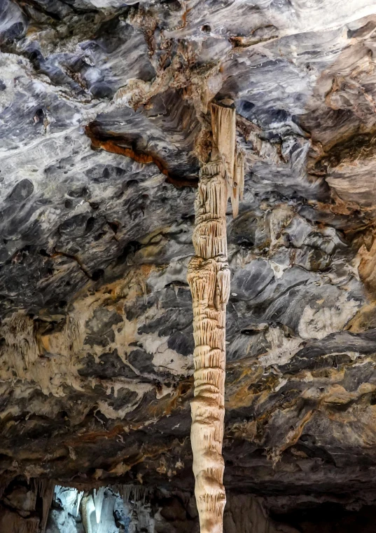 a tree with carved names on it stands in a cave