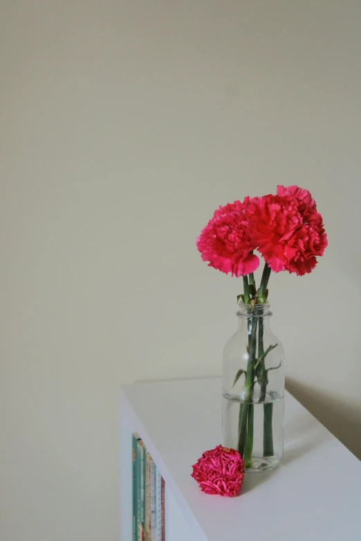 carnations are in a clear glass vase on the bookshelf