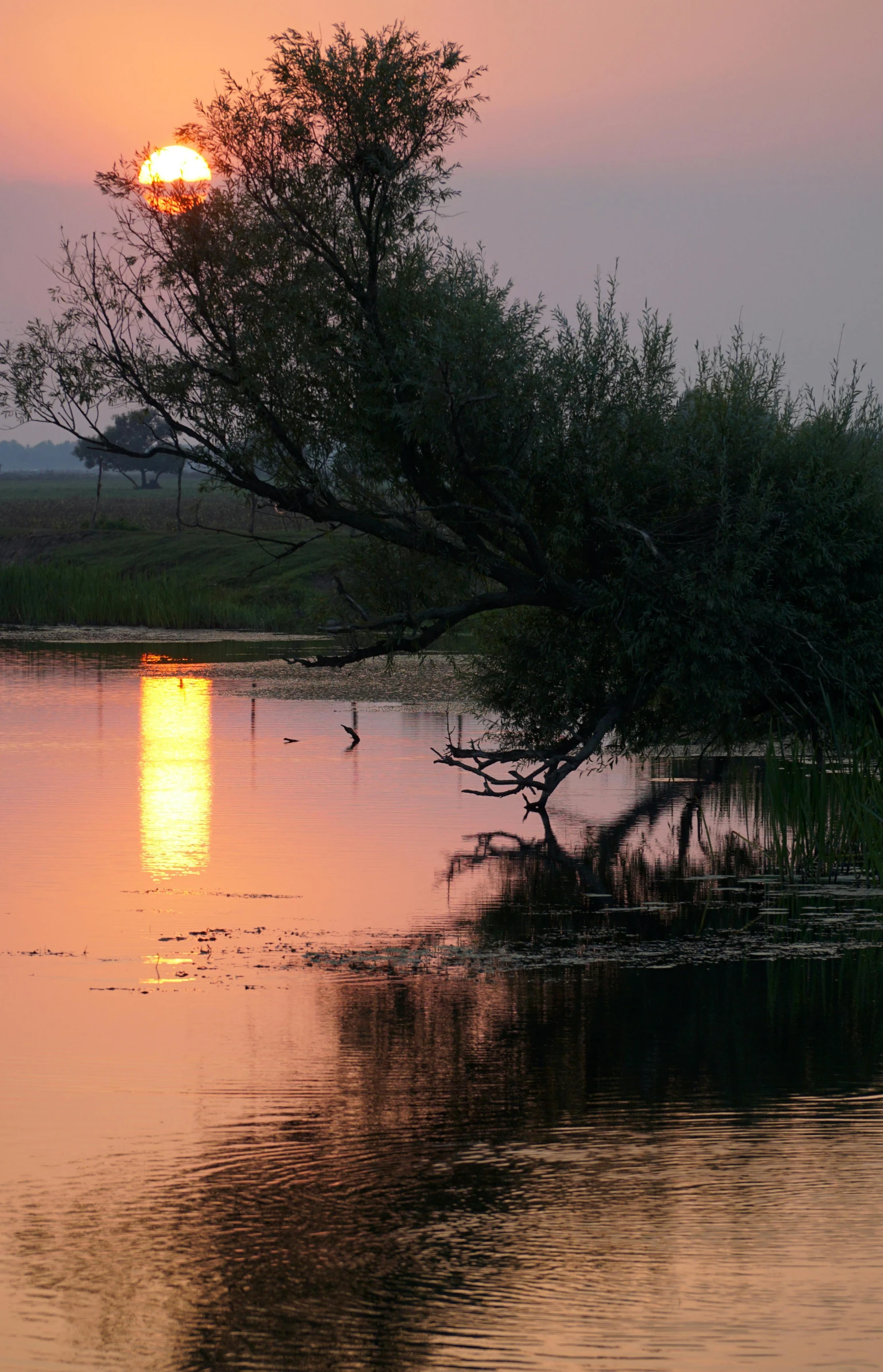 the sun is setting over the water, reflecting it's reflection