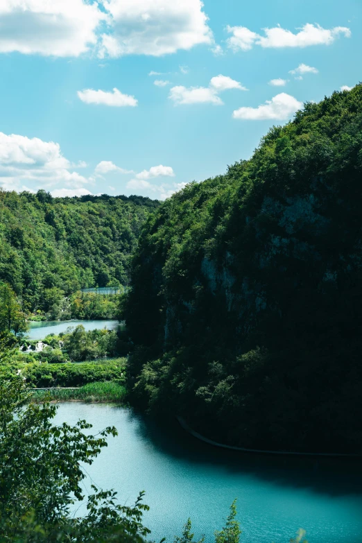 a large lake surrounded by a lush green forest