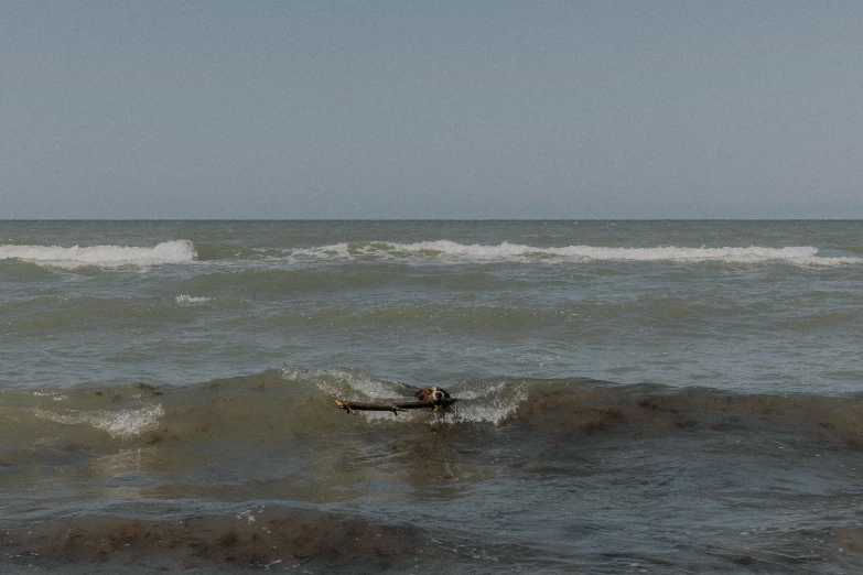 a man lying on a surfboard near the shore