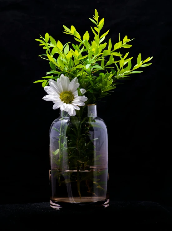 a vase full of flowers with dark background