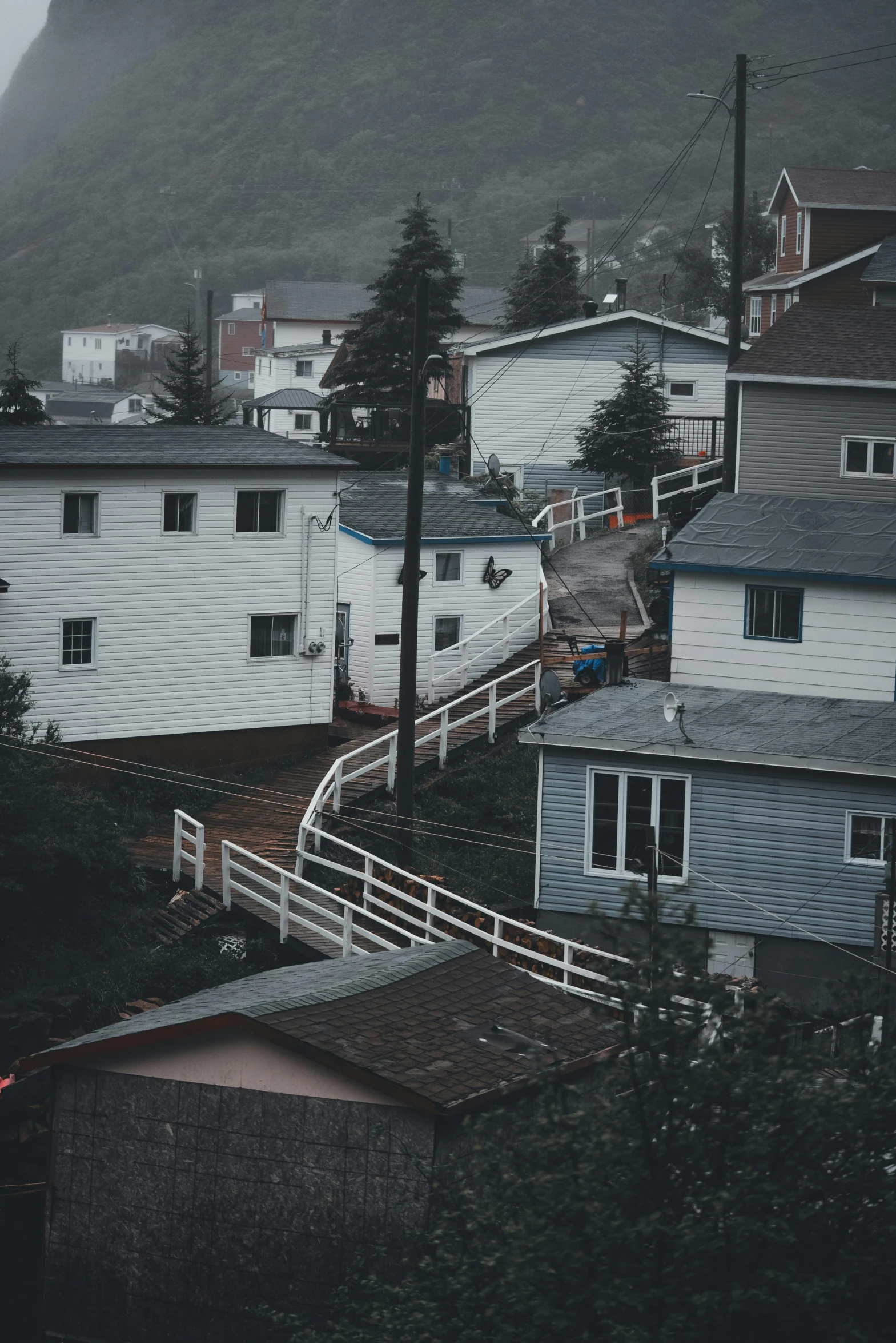 a few houses in the background and a cloudy sky