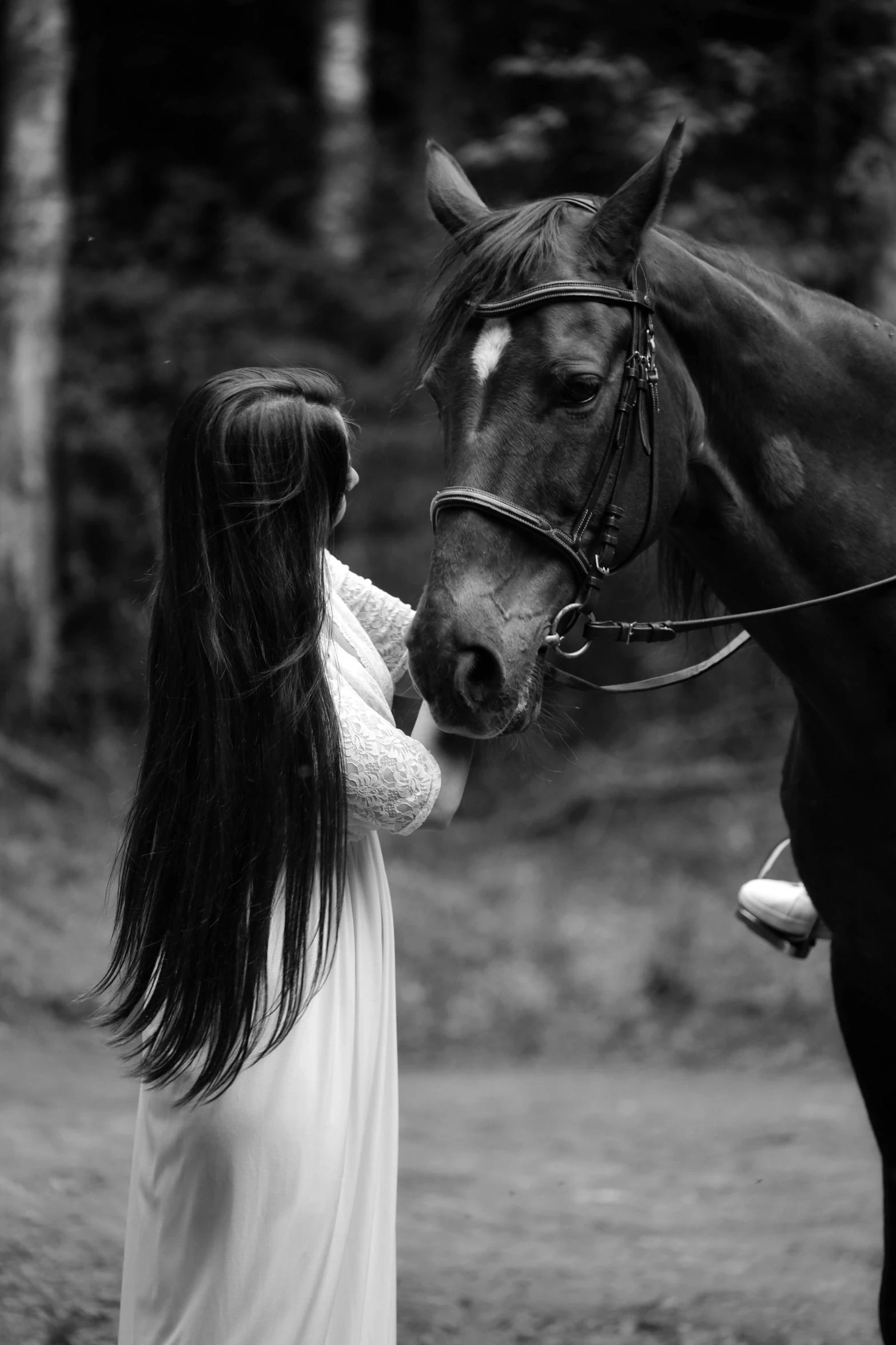 the little girl is feeding her horse a nose