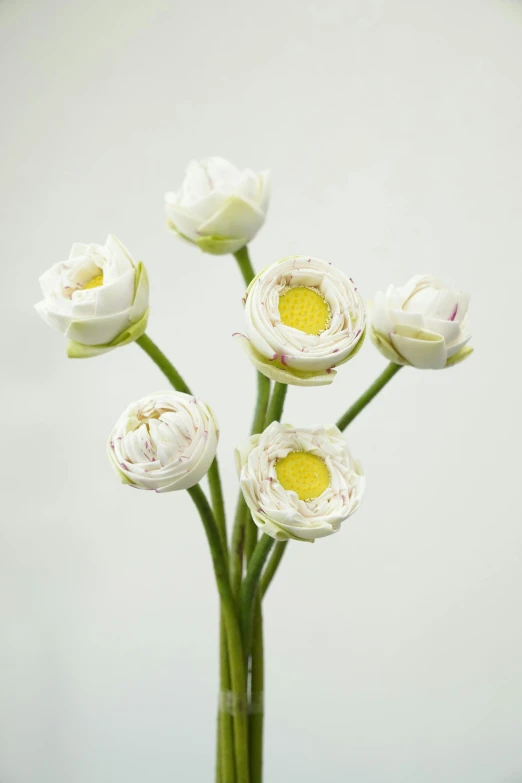 a vase filled with flowers against a white wall