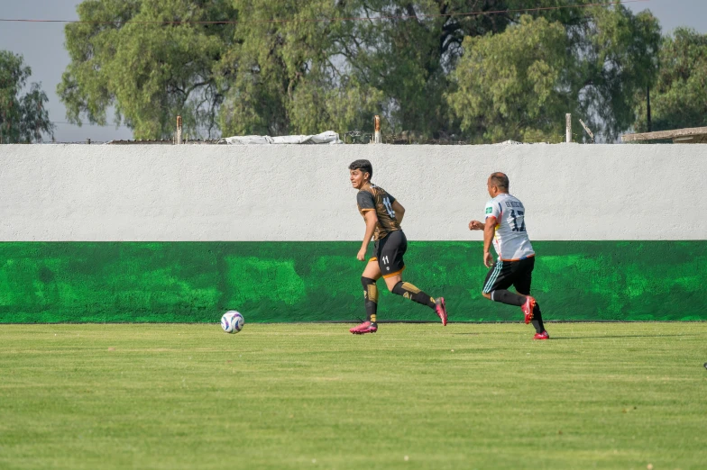 two men are on the soccer field and playing ball