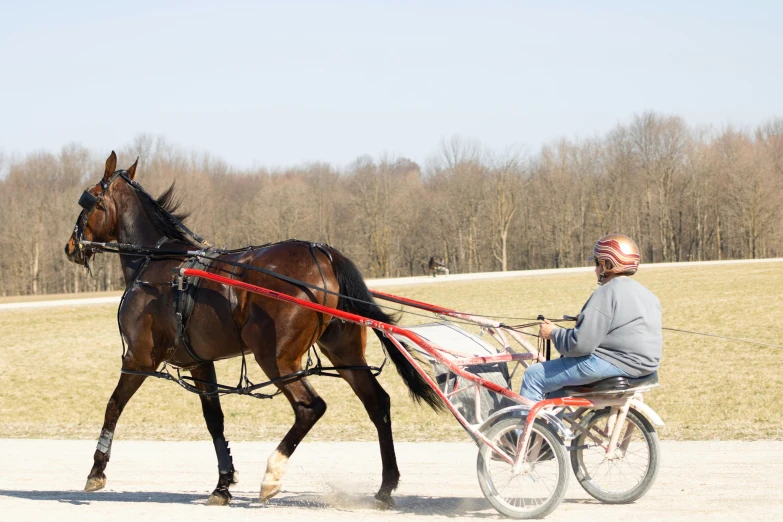 a man pulling a horse in a carriage