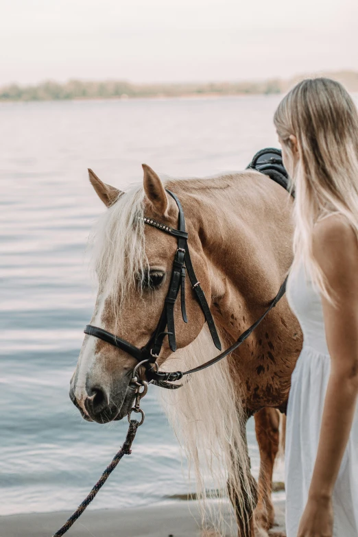 a young woman standing next to a horse