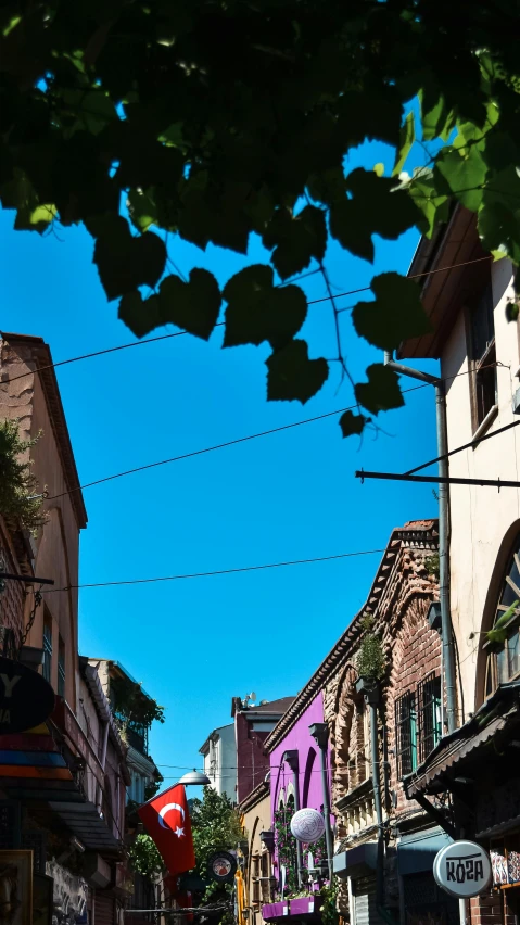 a colorful city street with buildings and a green plant