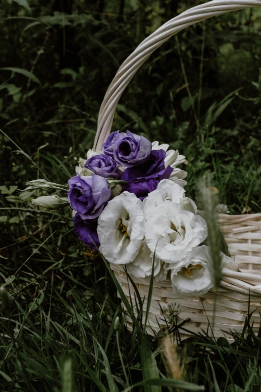 a basket filled with flowers on the grass