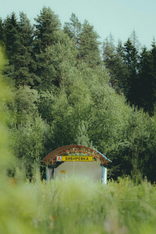 a shelter on a wooded hill surrounded by tall trees