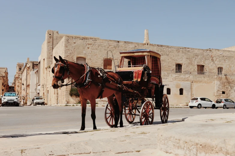 a horse drawn carriage is on the street