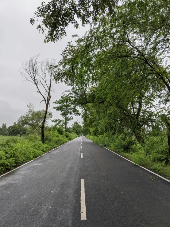 the roadway is empty of people or cars