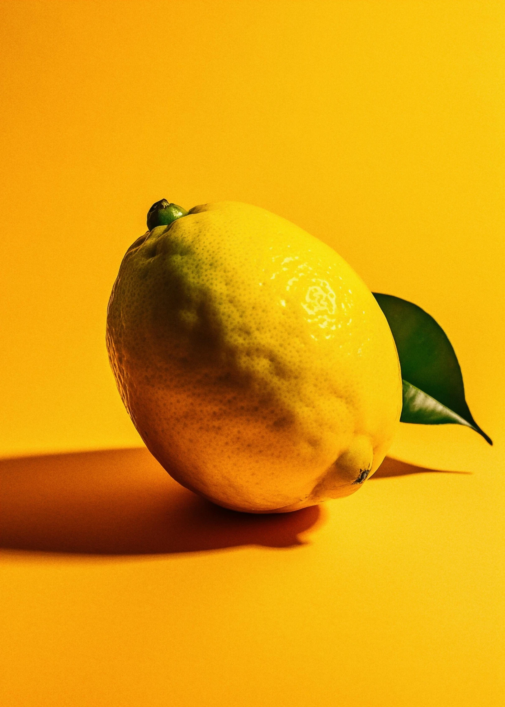 a lemon with green leaves resting on a yellow background