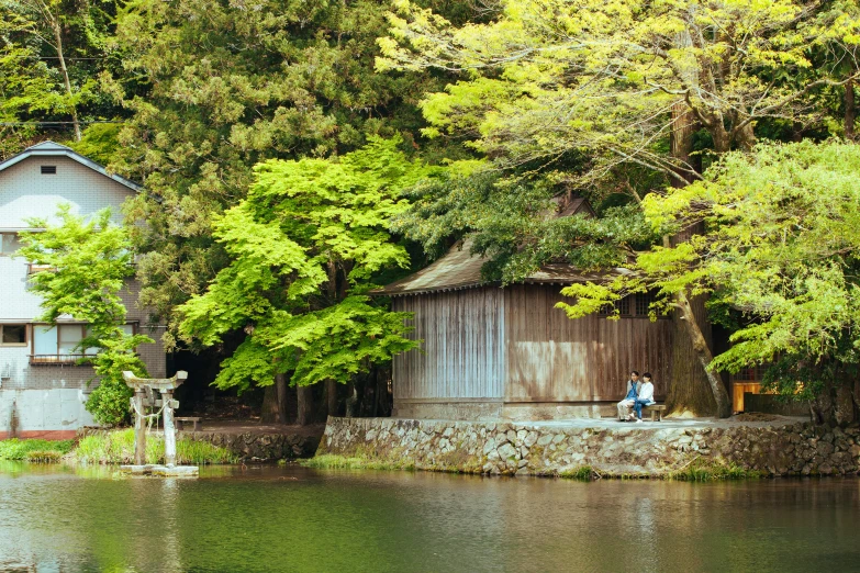 a house in the woods by a body of water