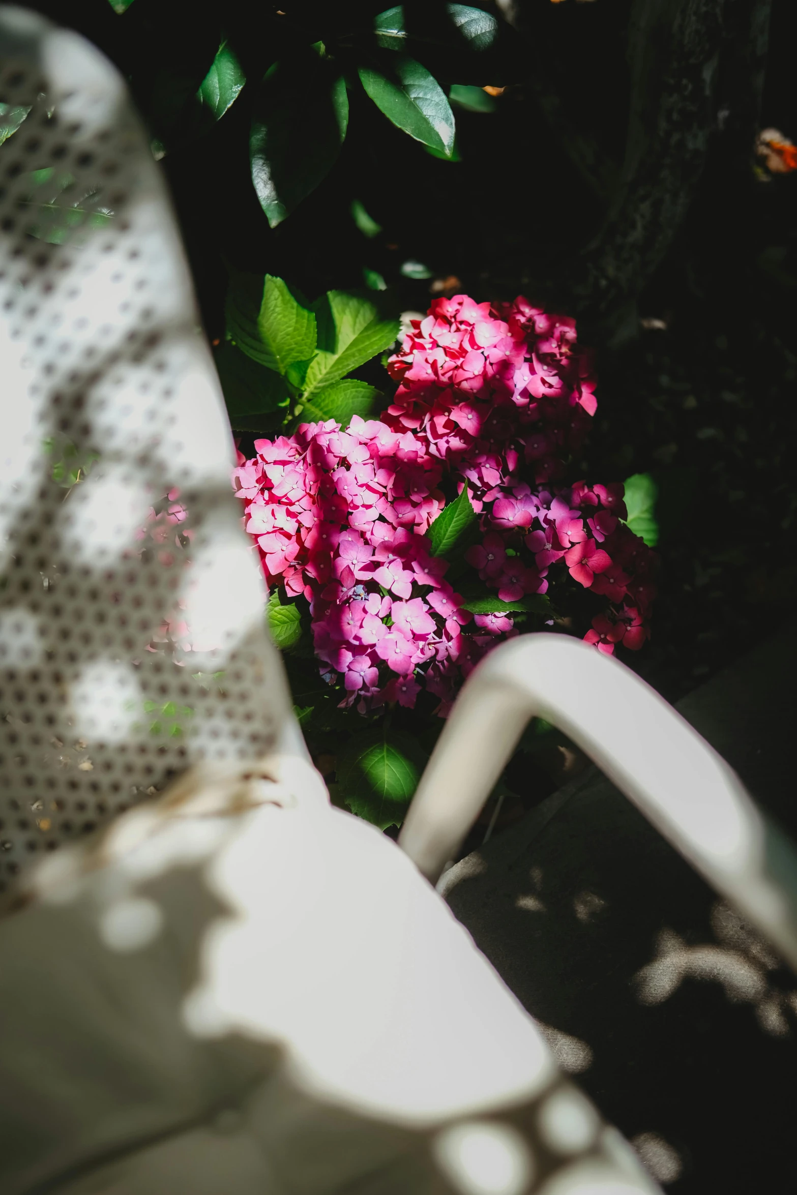 a pink flower sitting next to a white chair