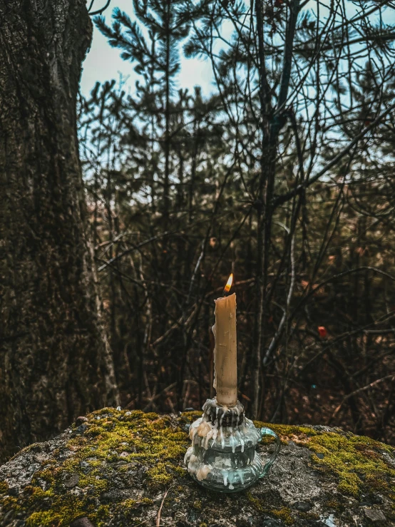 a single candle sitting on a moss covered rock