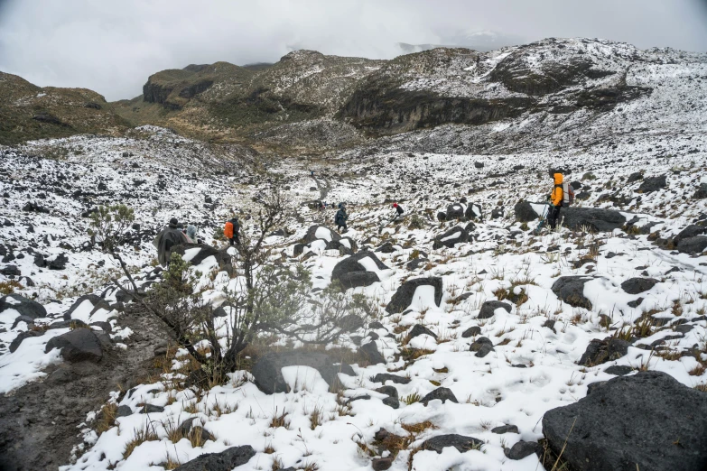 snow covers the ground and rocks near a tree