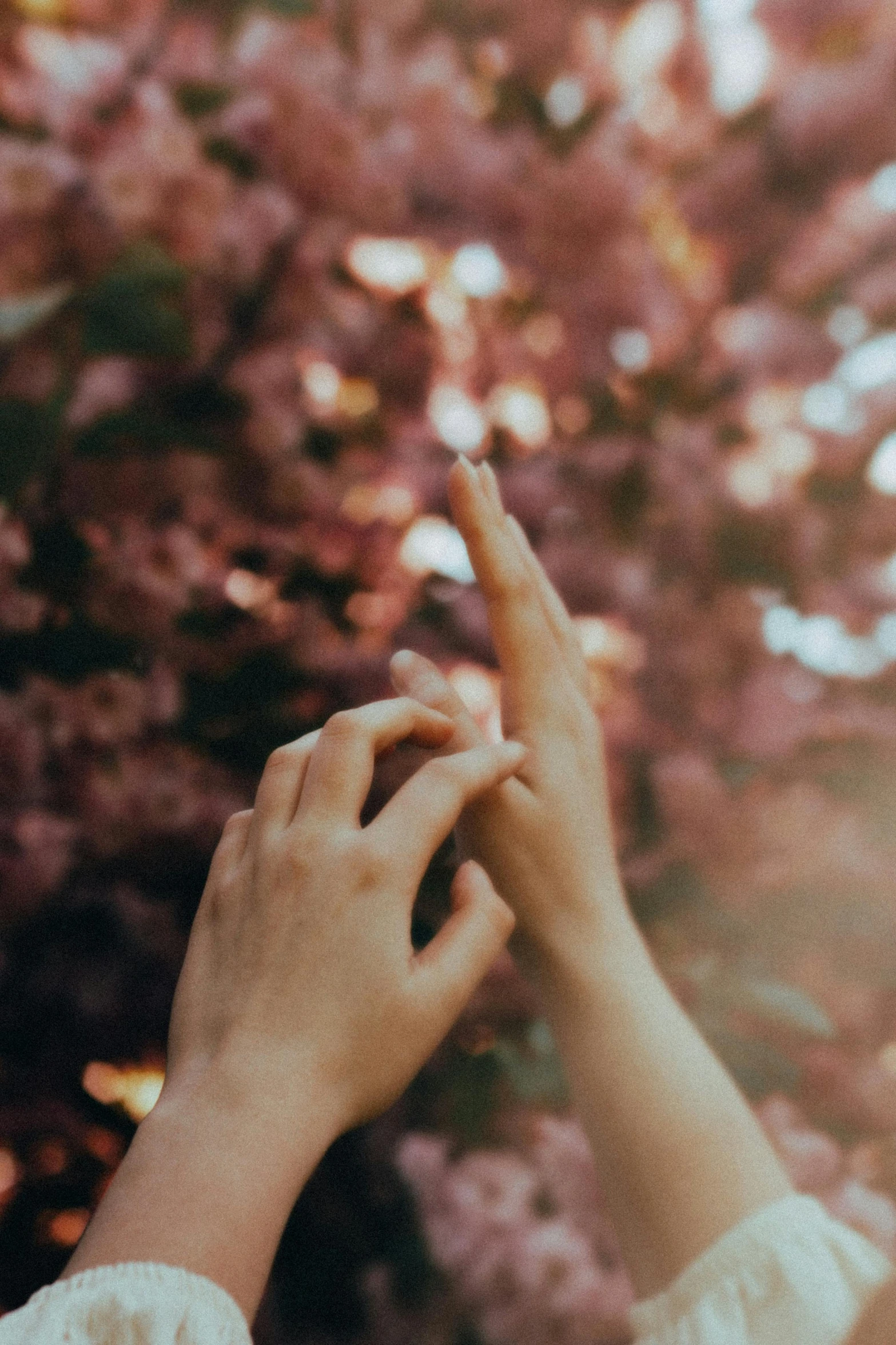 two hands reaching for soing while the woman's hand holds them out